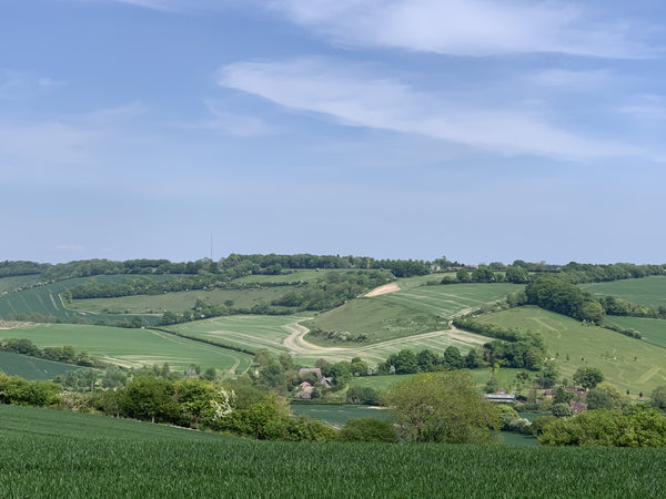 The Green fields of England, Wiltshire - Desktop Background.