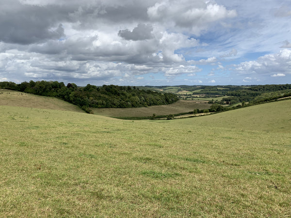 The Green fields of England, Buckinghamshire - Desktop Background.