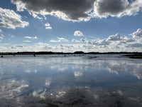 The tide is out, Essex - Desktop Background.